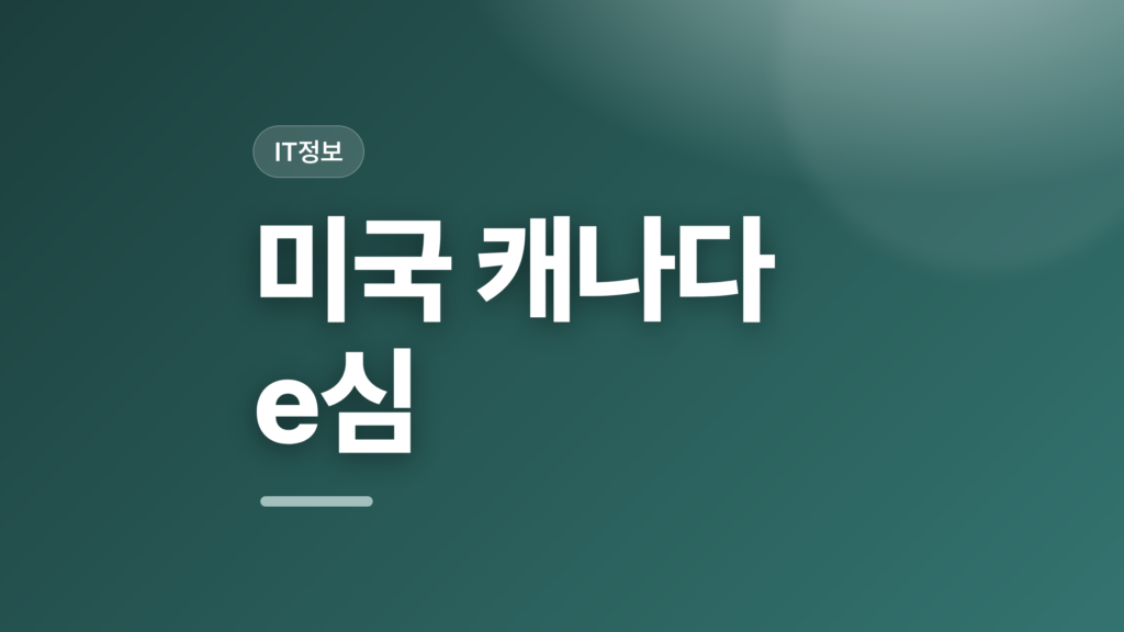 thumbcard 미국 캐나다 e심